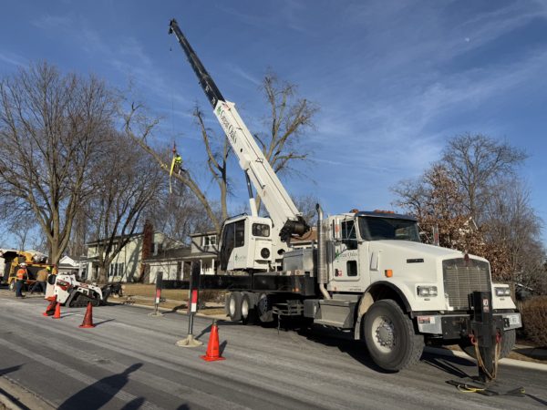 Large scale tree felling company serving the Fond du Lac - Sheboygan corridor