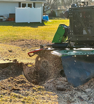 Stump Grinding
