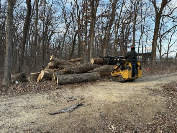 Fully Insured Lot Clearing Services